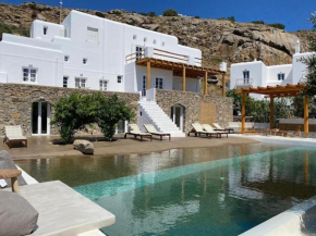Villa Asin Tourlos